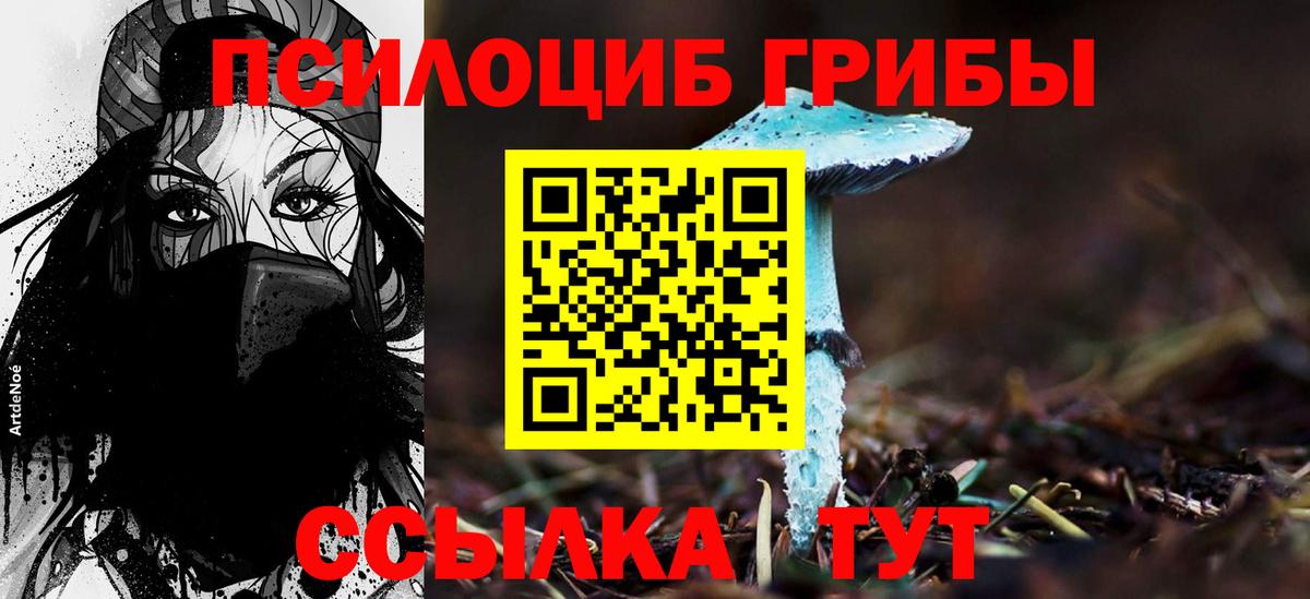 Балашиха  Псилоцибиновые грибы ЛСД  Вход с VPN 